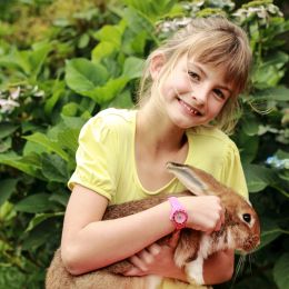 Fotoshooting Familie Homestory Königstein Sachsen