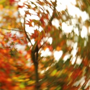 dreh fotografie gabriel