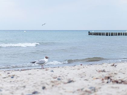 ostsee warnemuende 20160627-DSCF4872 LR 2