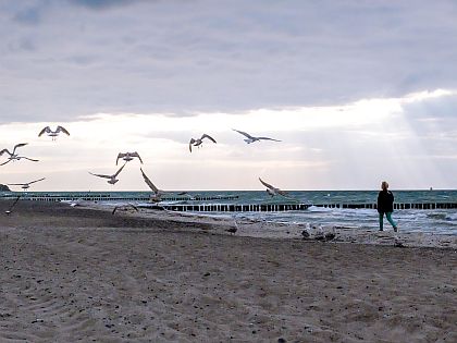 ostsee warnemuende 20160619-DSCF4292 LR 2