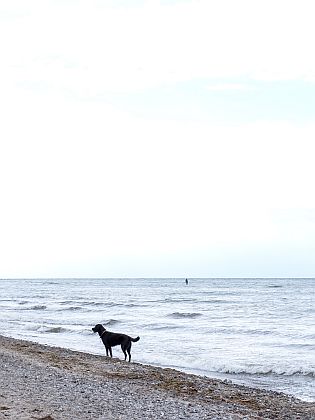 ostsee warnemuende 20160702-DSCF5198 LR 2